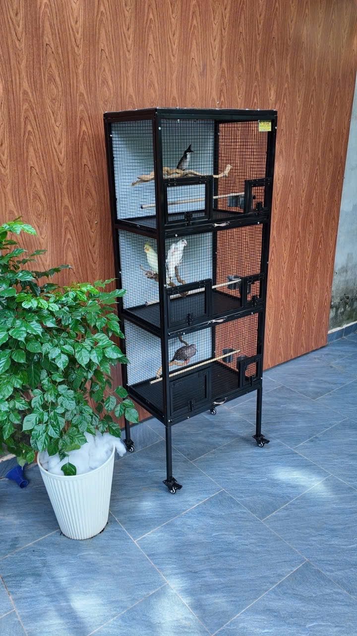 Lồng Avi Lắp Ghép M133 – ảnh 3