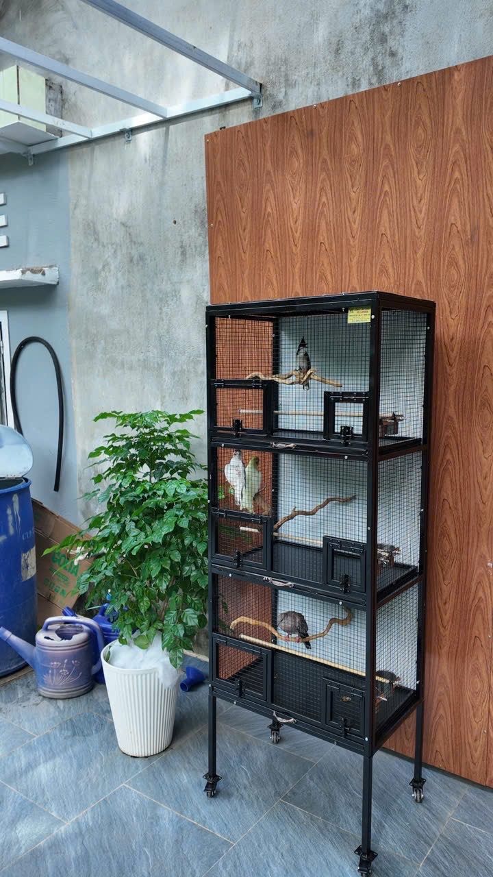 Lồng Avi Lắp Ghép M133 – ảnh 5