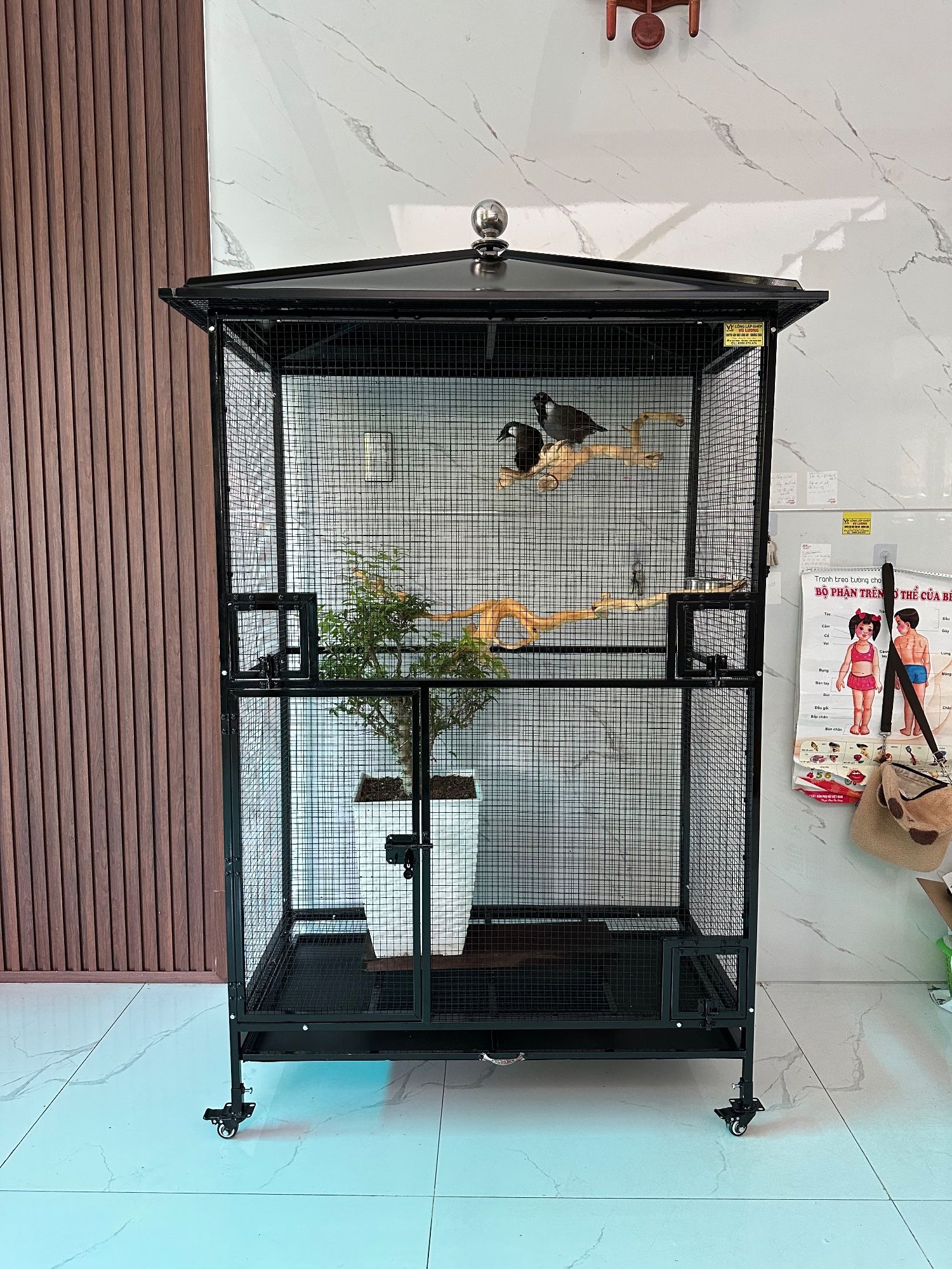 Lồng Avi Lắp Ghép M146