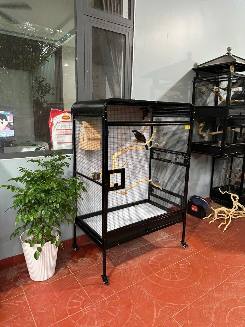 Lồng Avi Lắp Ghép M174 – ảnh 3