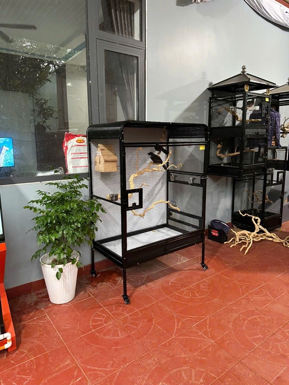 Lồng Avi Lắp Ghép M174 – ảnh 4
