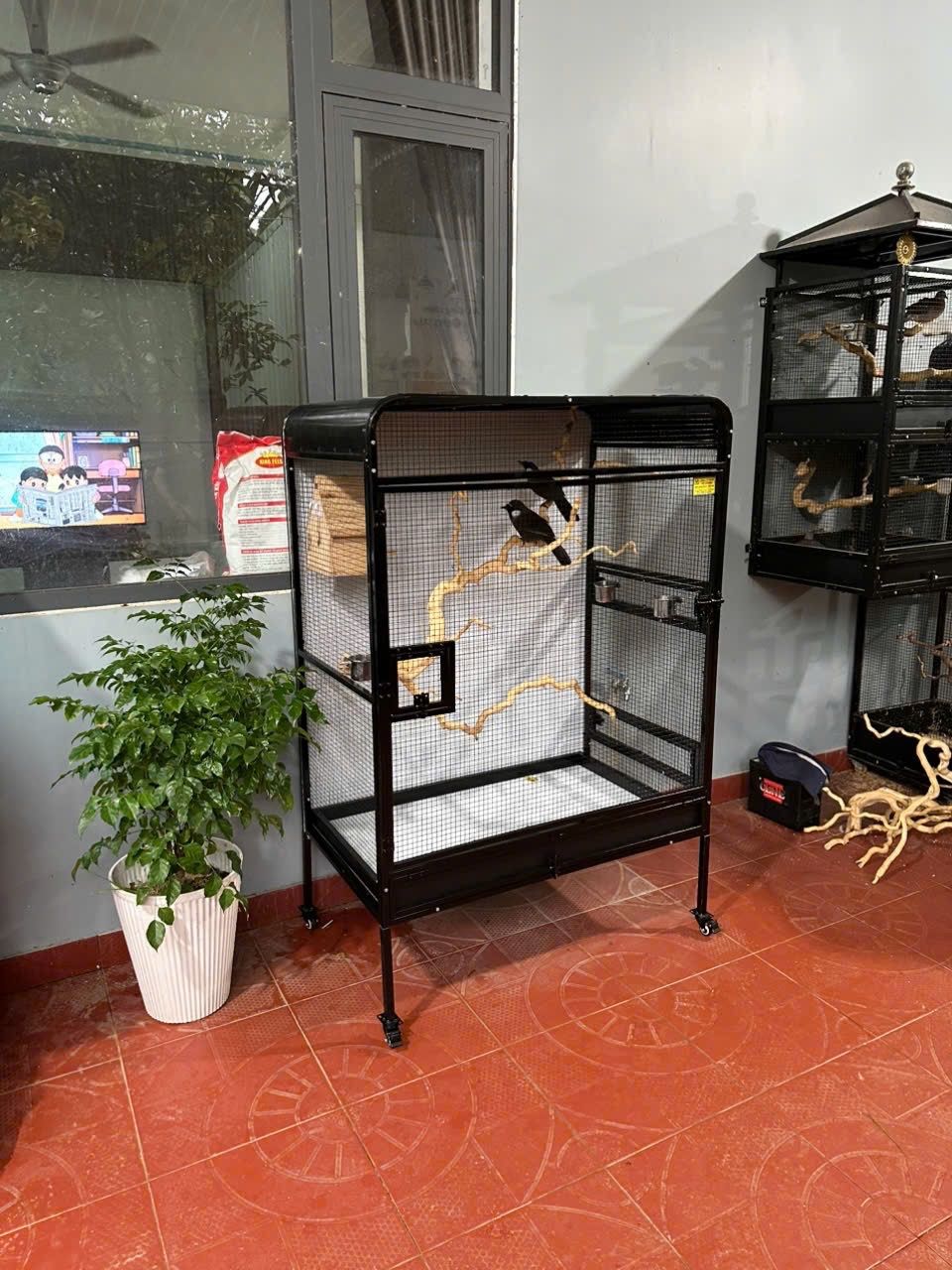 Lồng Avi Lắp Ghép M174 – ảnh 5