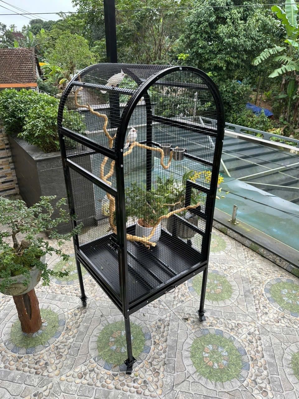 Lồng Avi Lắp Ghép M177 – ảnh 3